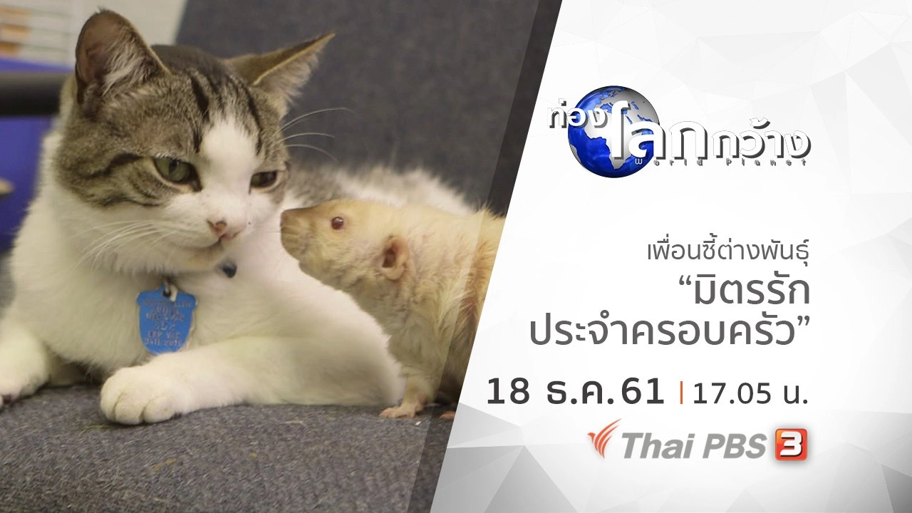 เพื่อนซี้ต่างพันธุ์ ตอน มิตรรักประจำครอบครัว