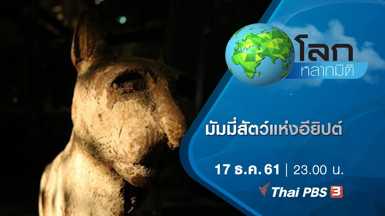 มัมมี่สัตว์แห่งอียิปต์