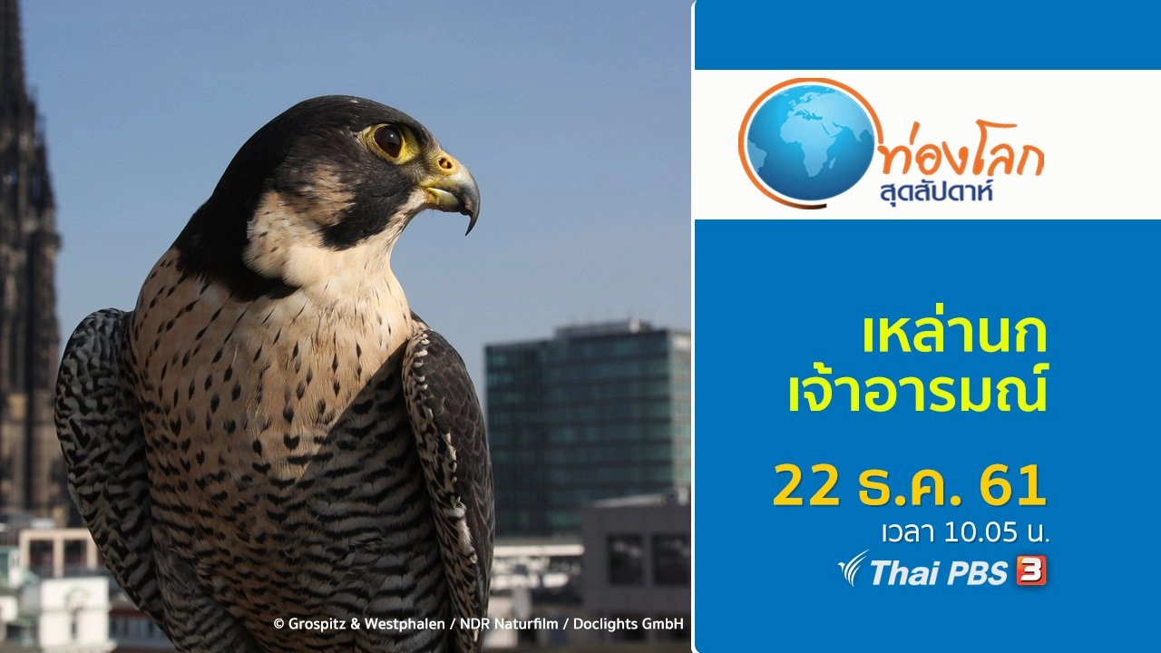 เหล่านกเจ้าอารมณ์