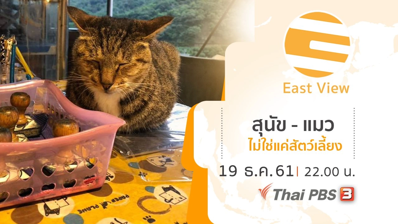 สุนัข - แมว ไม่ใช่แค่สัตว์เลี้ยง