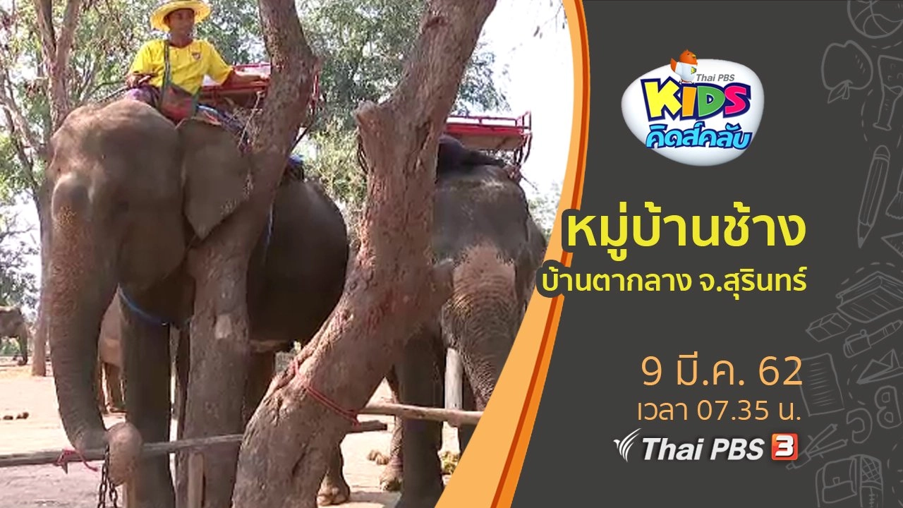 ​หมู่บ้านช้าง บ้านตากลาง จ.สุรินทร์