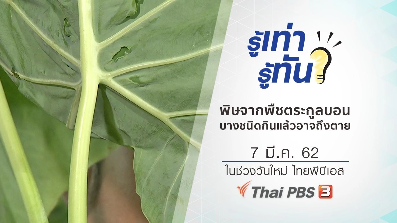 พิษจากพืชตระกูลบอน บางชนิดกินแล้วอาจถึงตาย