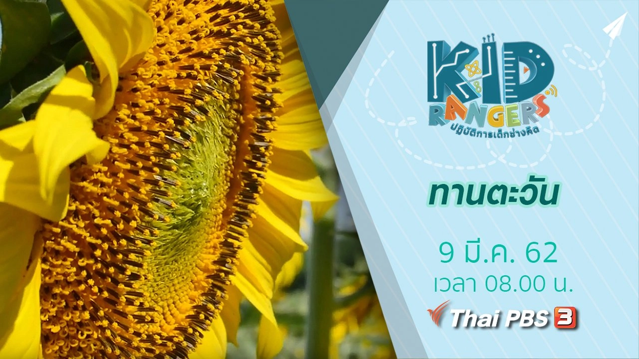 ทานตะวัน