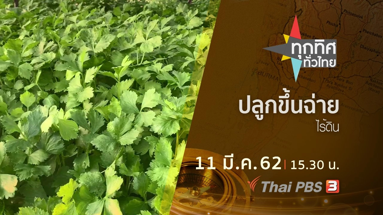 ประเด็นข่าว (11 มี.ค. 62)