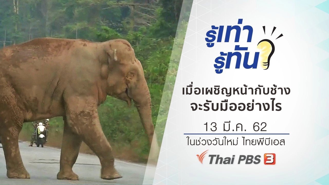 เมื่อต้องเผชิญหน้ากับช้าง จะรับมืออย่างไรให้ปลอดภัย