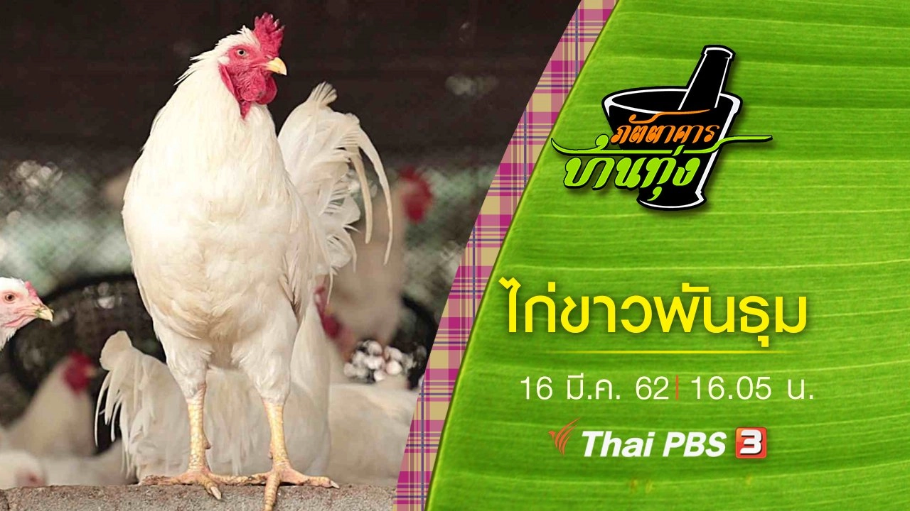 ไก่ขาวพันธุม