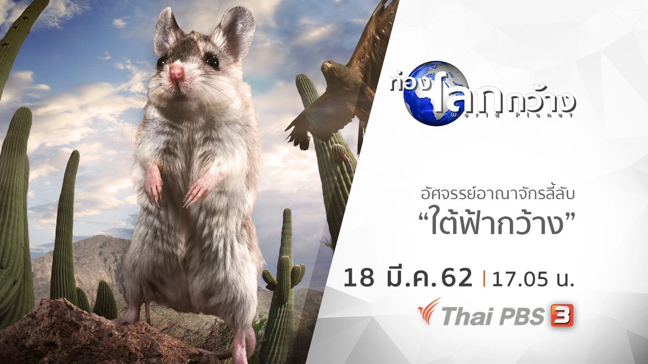 อัศจรรย์อาณาจักรลี้ลับ ตอน ใต้ฟ้ากว้าง