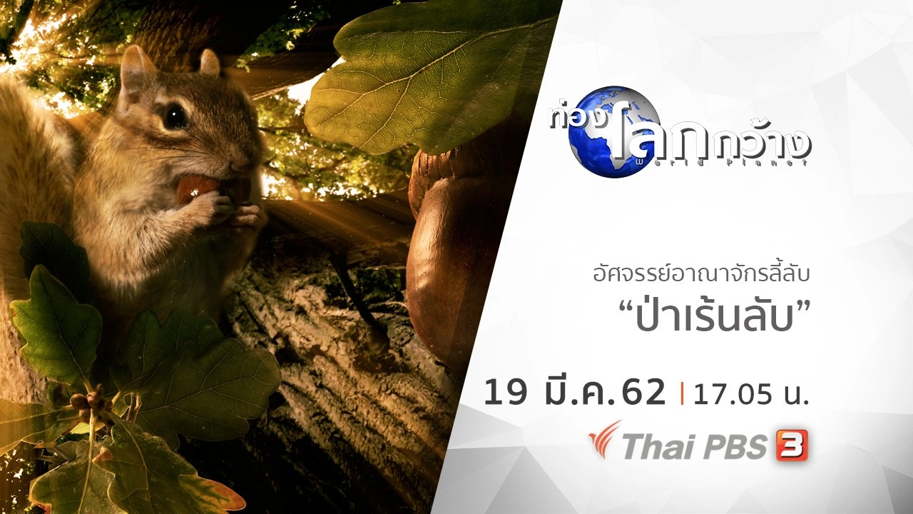 อัศจรรย์อาณาจักรลี้ลับ ตอน ป่าเร้นลับ