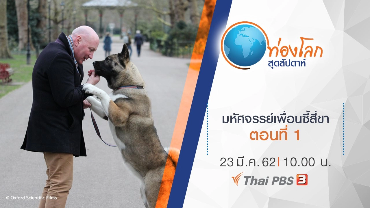 มหัศจรรย์เพื่อนซี้สี่ขา ตอนที่ 1