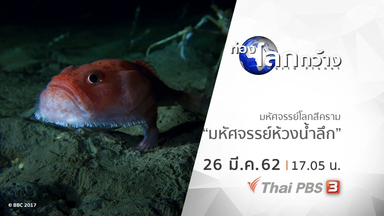 มหัศจรรย์โลกสีคราม ตอน มหัศจรรย์ห้วงน้ำลึก