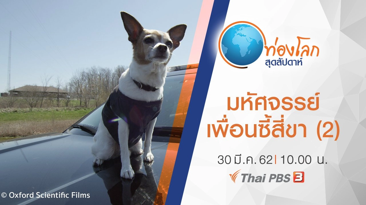 มหัศจรรย์เพื่อนซี้สี่ขา ตอนที่ 2