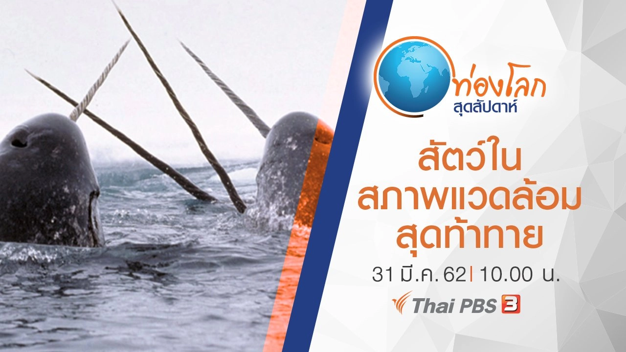 เปิดโลกสัตว์หรรษา ตอน สัตว์ในสภาพแวดล้อมสุดท้าทาย