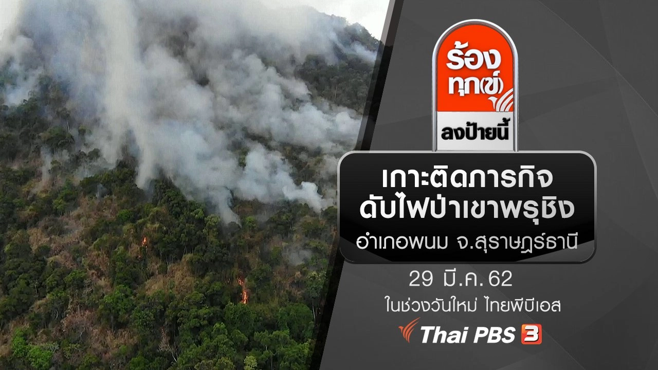 เกาะติดภารกิจดับไฟป่าเขาพรุชิง อำเภอพนม จ.สุราษฎร์ธานี