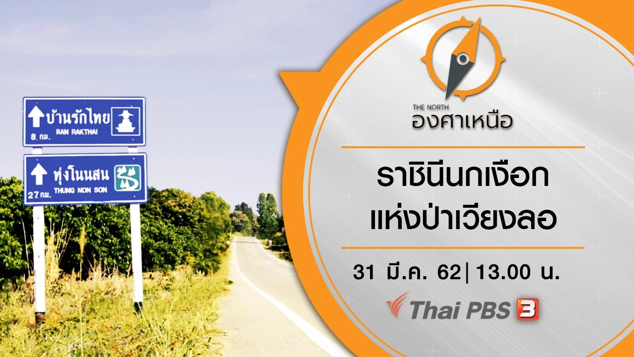 ราชินีนกเงือกแห่งป่าเวียงลอ