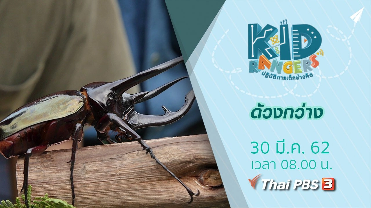 ด้วงกว่าง