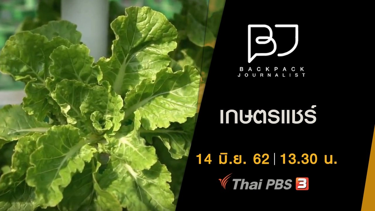 เกษตรแชร์