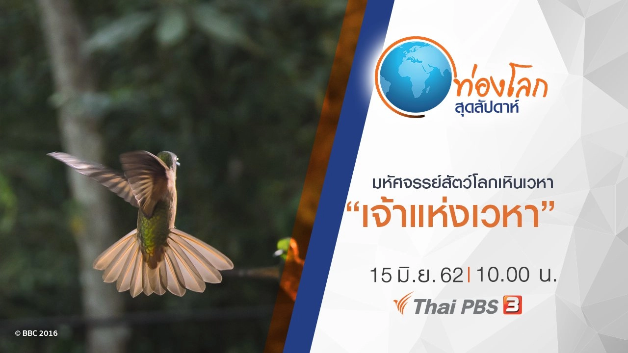 มหัศจรรย์สัตว์โลกเหินเวหา ตอน เจ้าแห่งเวหา