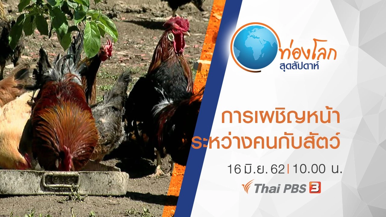 เปิดโลกสัตว์หรรษา ตอน การเผชิญหน้าระหว่างคนกับสัตว์