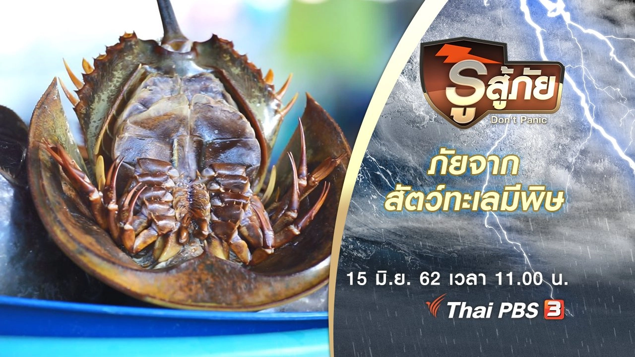 ภัยจากสัตว์ทะเลมีพิษ