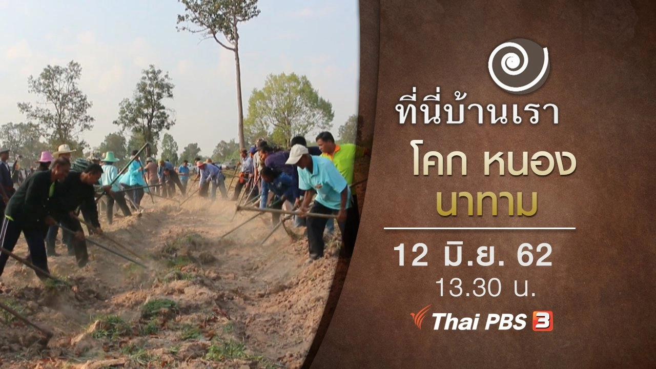 โคก หนอง นาทาม