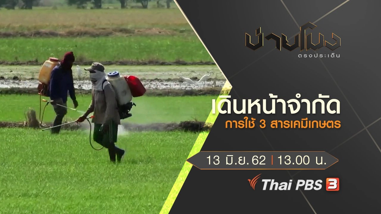 ประเด็นข่าว (13 มิ.ย. 62)