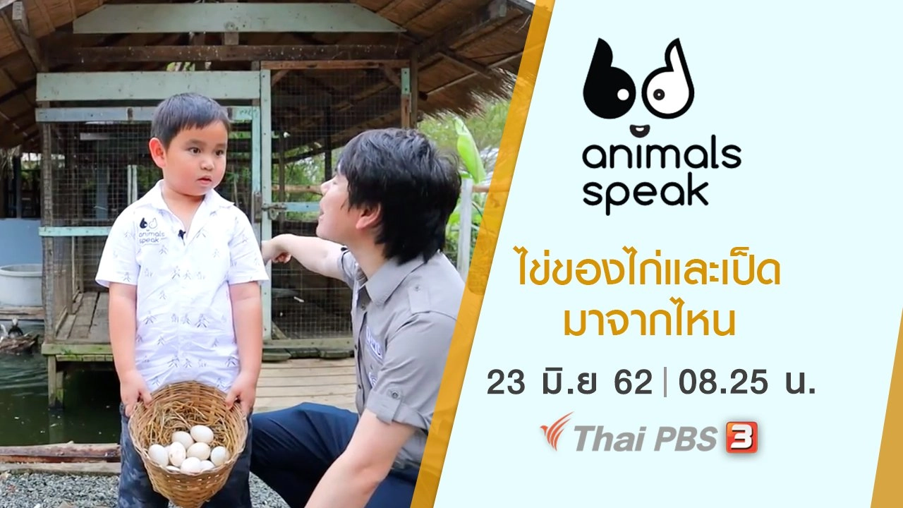 ไข่ของไก่และเป็ดมาจากไหน