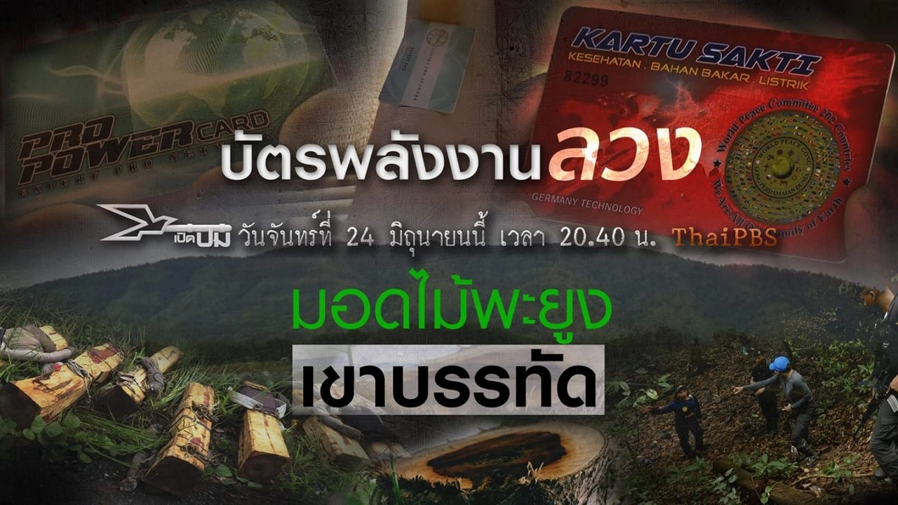 บัตรพลังงานลวง, มอดไม้พะยูงเขาบรรทัด
