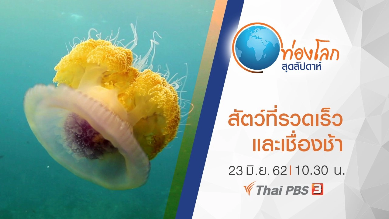 เปิดโลกสัตว์หรรษา ตอน ความพิเศษของสัตว์ที่รวดเร็วและเชื่องช้า