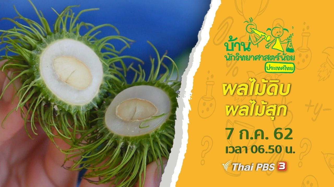 ผลไม้ดิบ ผลไม้สุก