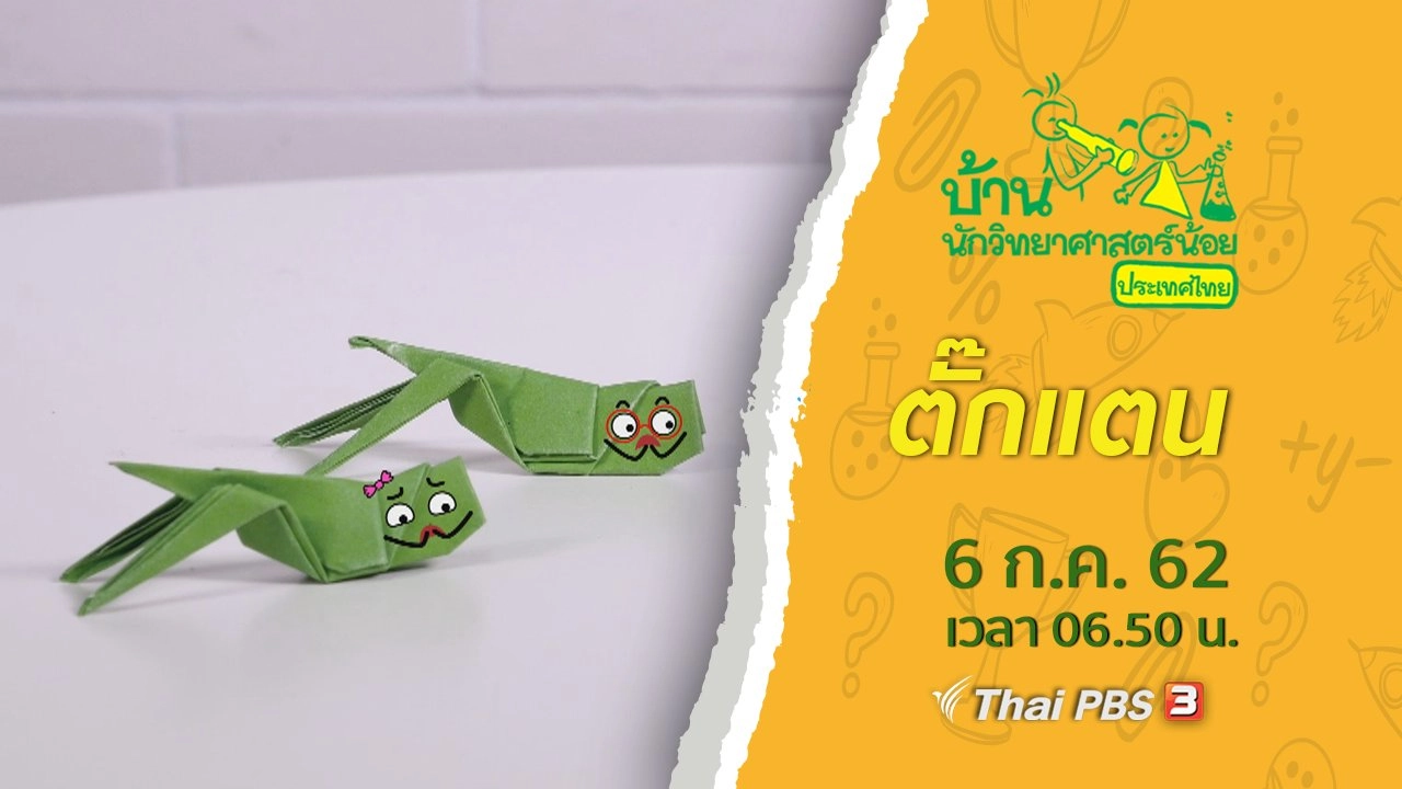 ตั๊กแตน