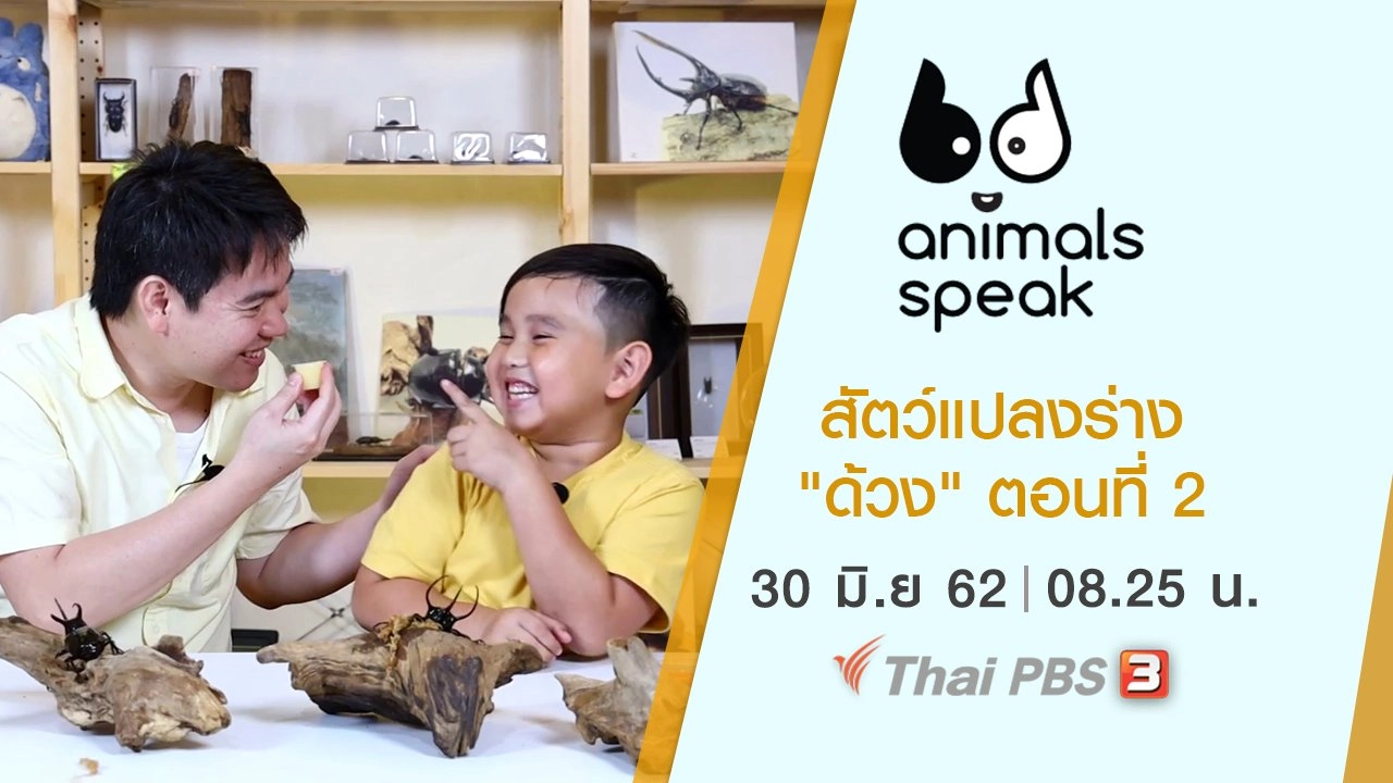 สัตว์แปลงร่าง "ด้วง" ตอนที่ 2