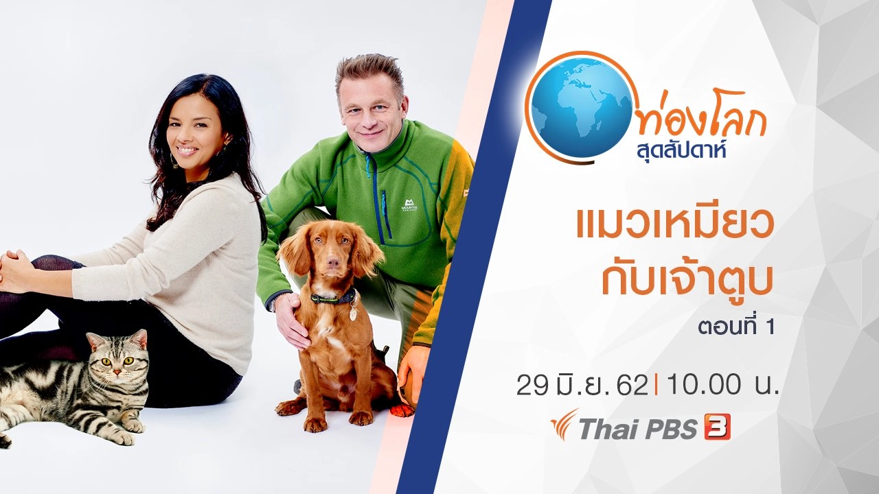 แมวเหมียวกับเจ้าตูบ ตอนที่ 1