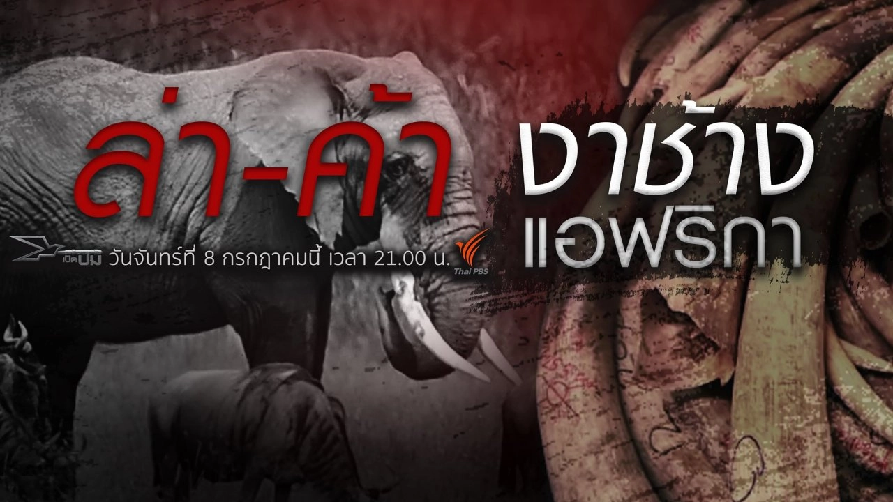 ล่า - ค้า งาช้างแอฟริกา​​