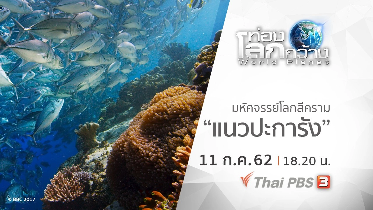 มหัศจรรย์โลกสีคราม ตอน แนวปะการัง