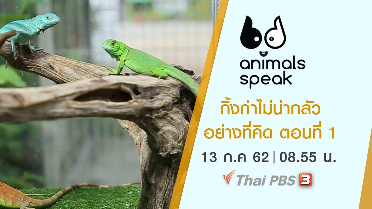 กิ้งก่าไม่น่ากลัวอย่างที่คิด ตอนที่ 1