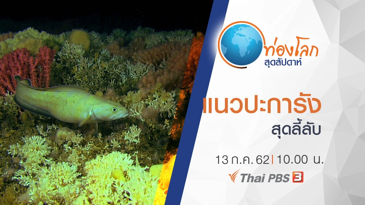 แนวปะการังสุดลี้ลับ