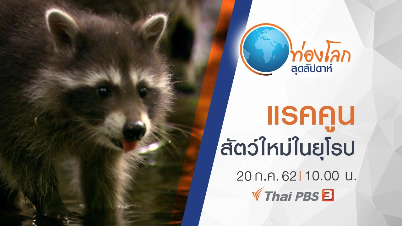 แรคคูน สัตว์ใหม่ในยุโรป