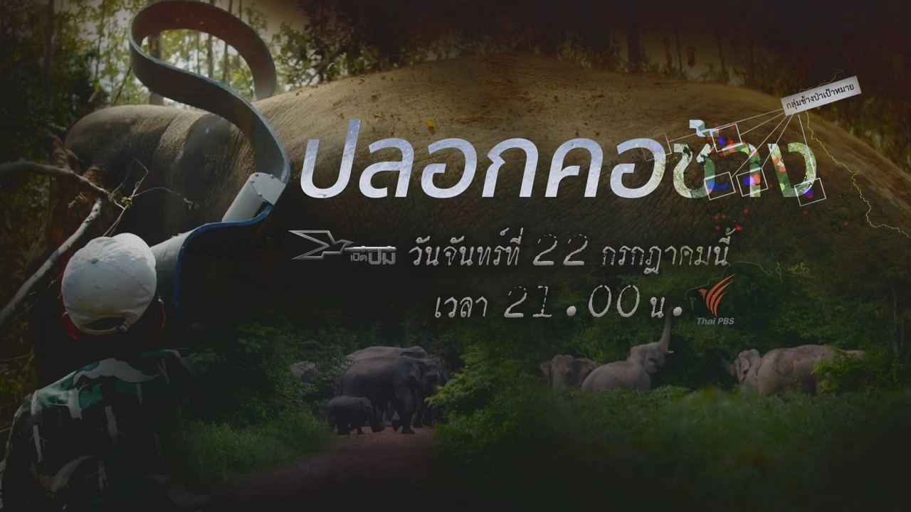 ปลอกคอช้าง