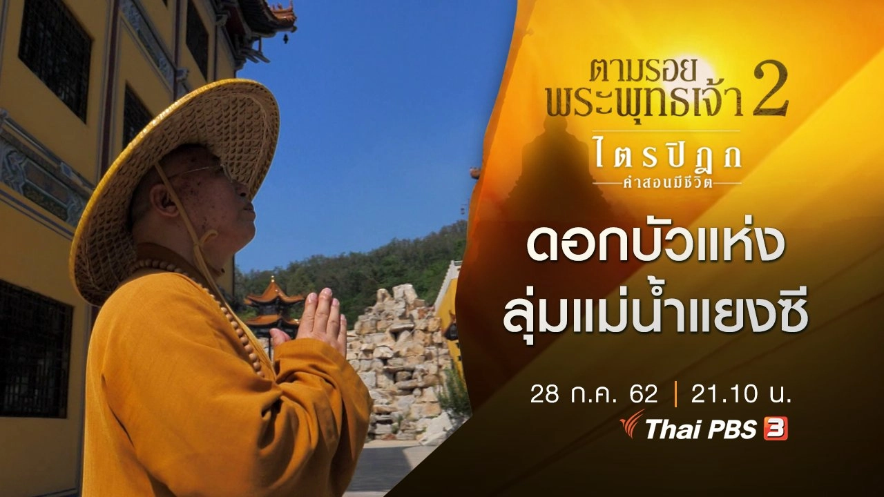 ดอกบัวแห่งลุ่มแม่น้ำแยงซี