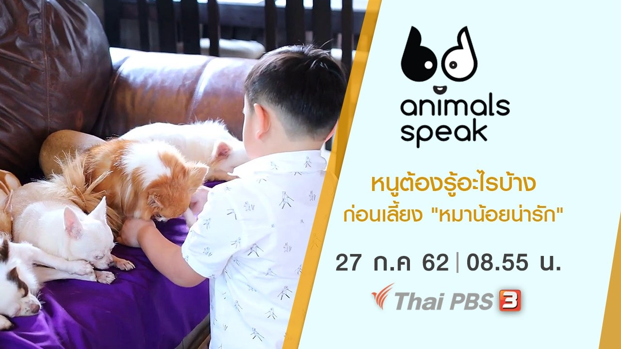 หนูต้องรู้อะไรบ้างก่อนเลี้ยง "หมาน้อยน่ารัก"