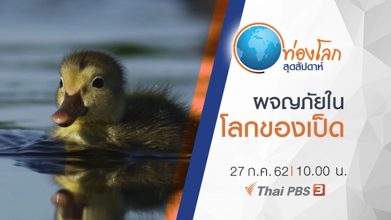 ผจญภัยในโลกของเป็ด