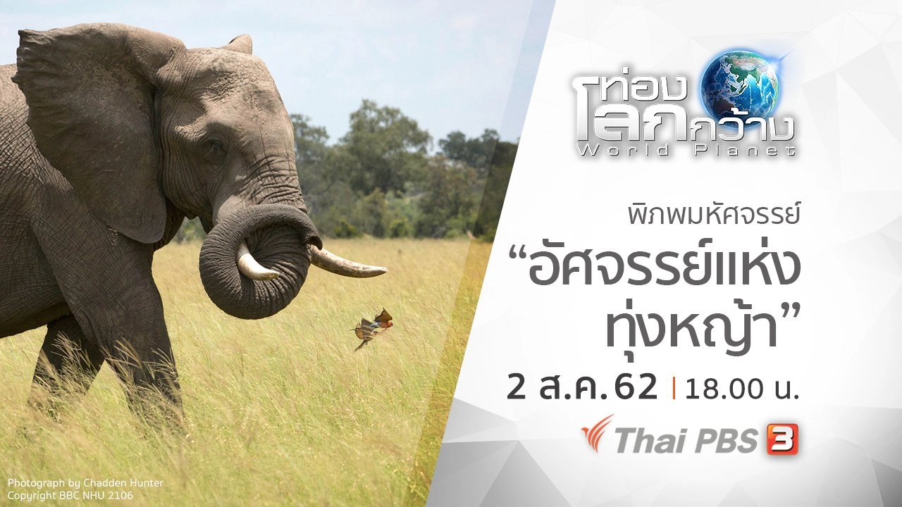 พิภพมหัศจรรย์ ตอน อัศจรรย์แห่งทุ่งหญ้า