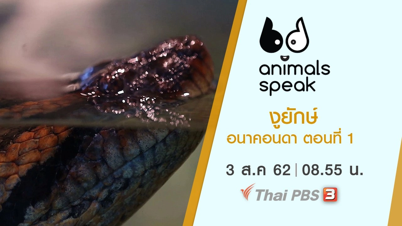 งูยักษ์อนาคอนดา ตอนที่ 1