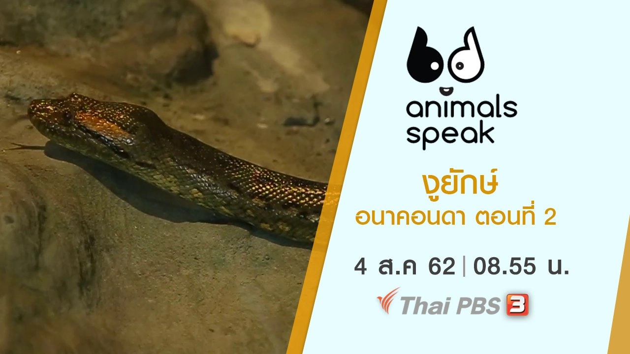 งูยักษ์อนาคอนดา ตอนที่ 2