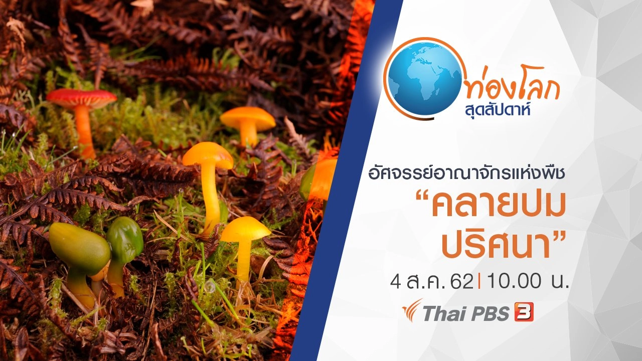 อัศจรรย์อาณาจักรแห่งพืช ตอน คลายปมปริศนา