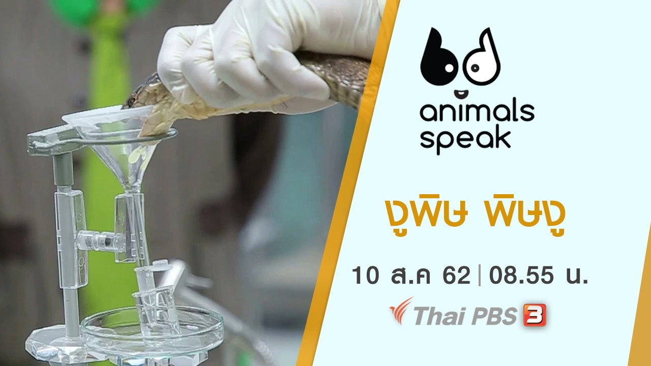 งูพิษ พิษงู