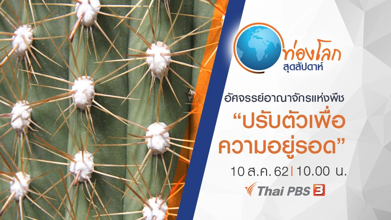 อัศจรรย์อาณาจักรแห่งพืช ตอน ปรับตัวเพื่อความอยู่รอด