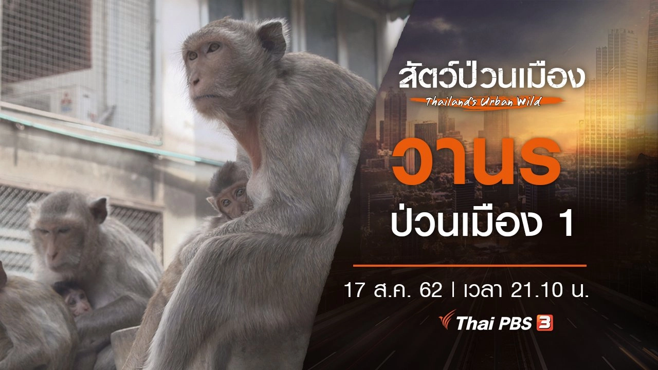 วานรป่วนเมือง 1