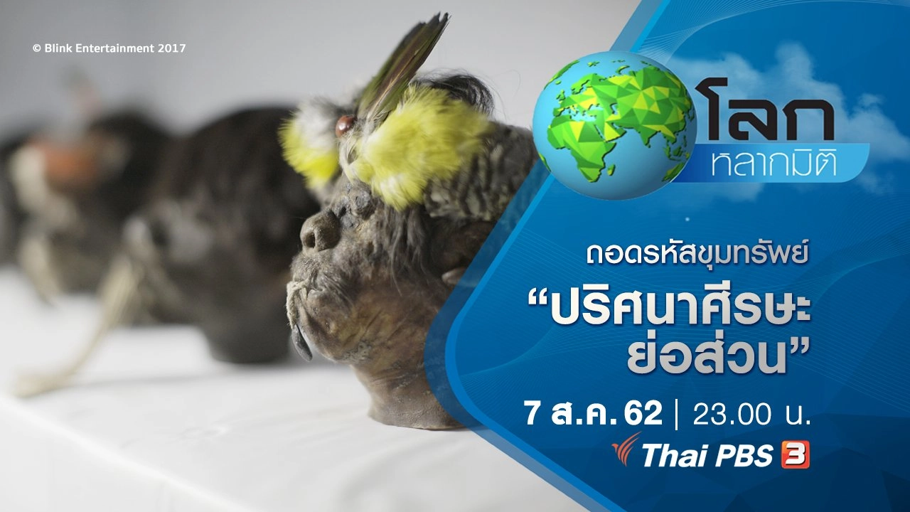 ถอดรหัสขุมทรัพย์ ตอน ปริศนาศีรษะย่อส่วน