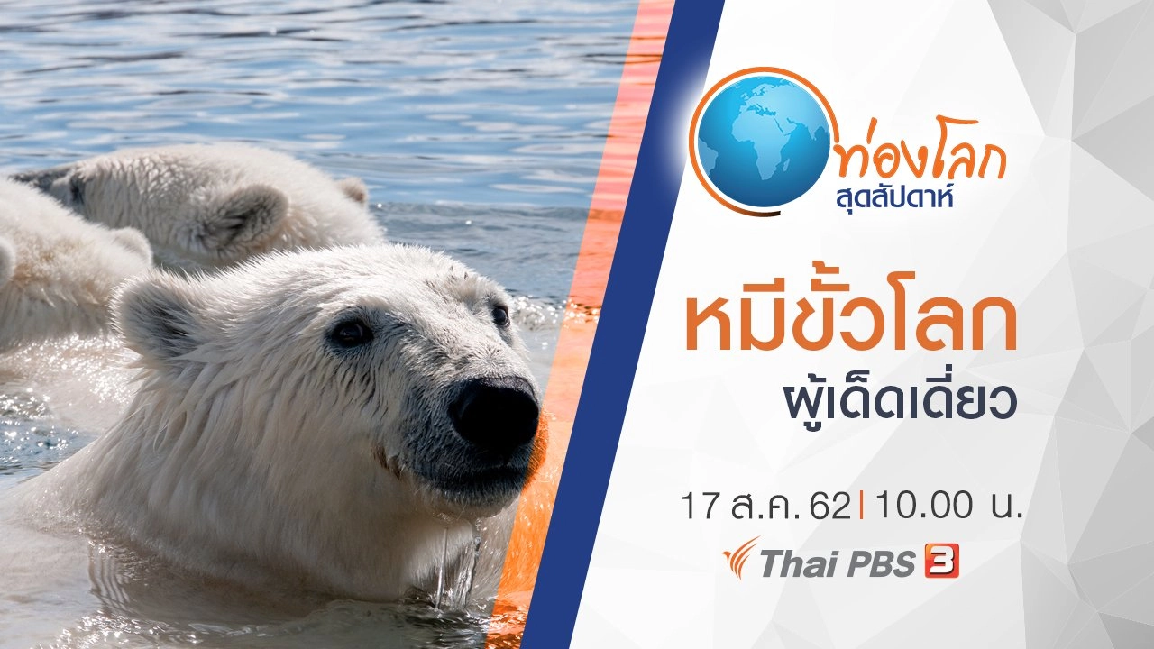 หมีขั้วโลกผู้เด็ดเดี่ยว